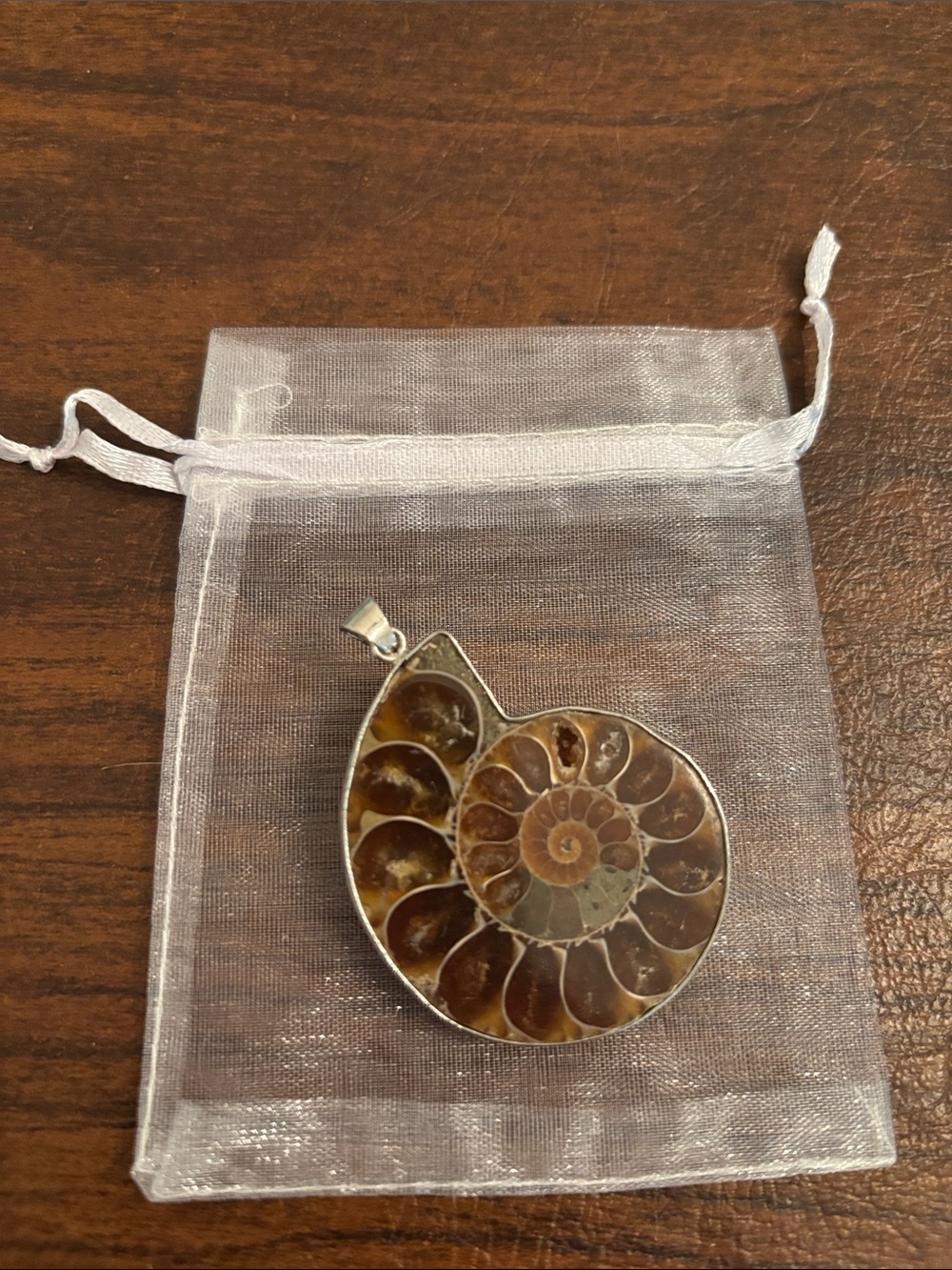 Natural Brown Ammonite Fossil Pendant Necklace - Unbranded